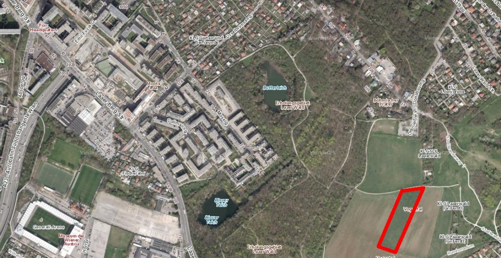 LaaerBergbauern Feld