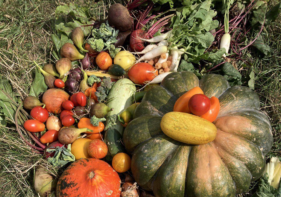 IMG_20251229_194859_144