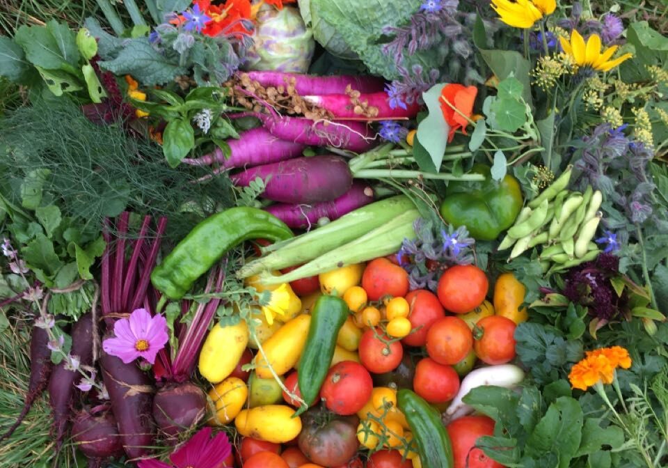 IMG_20251229_195131_418