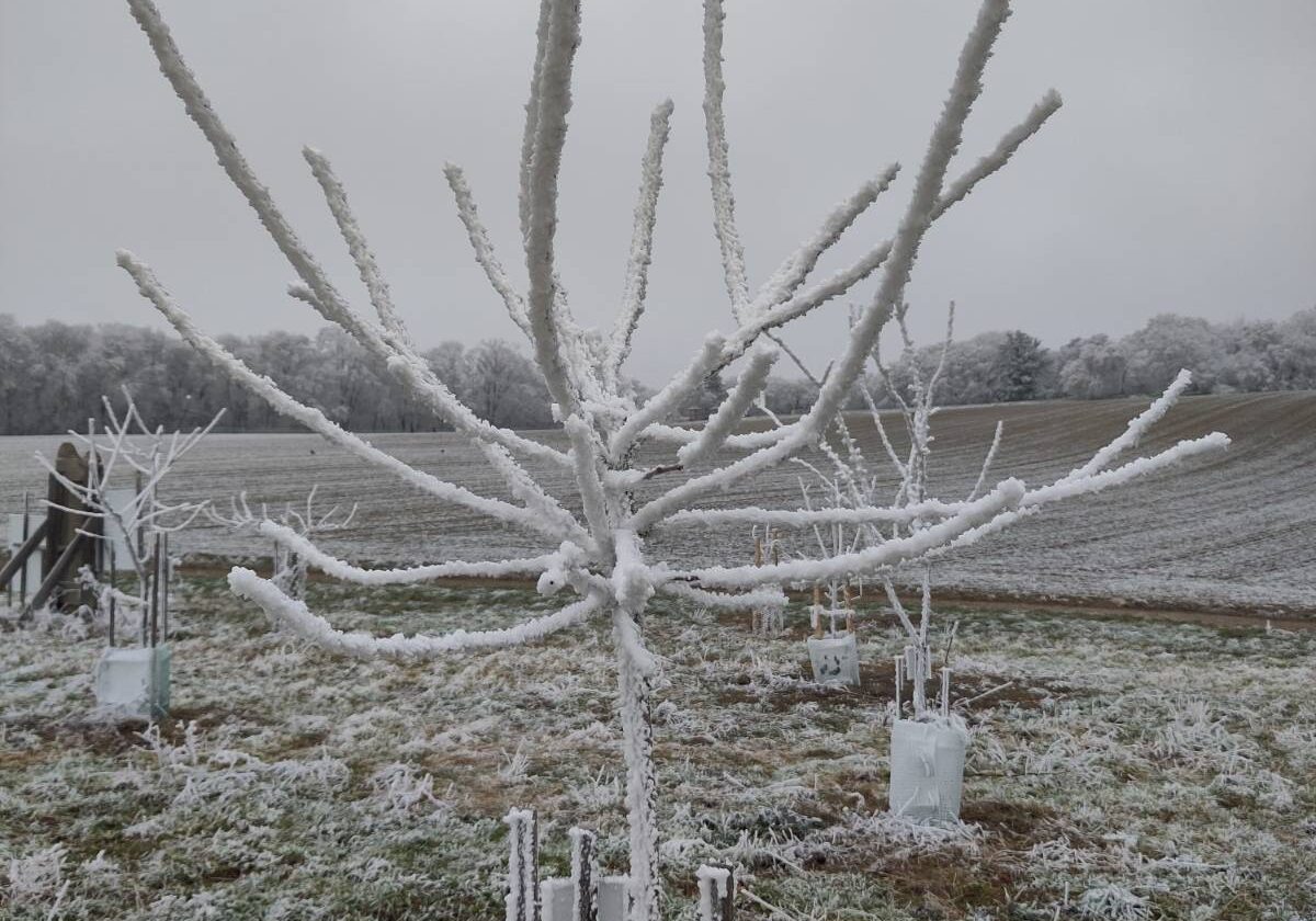 signal-2025-01-02-15-35-24-984