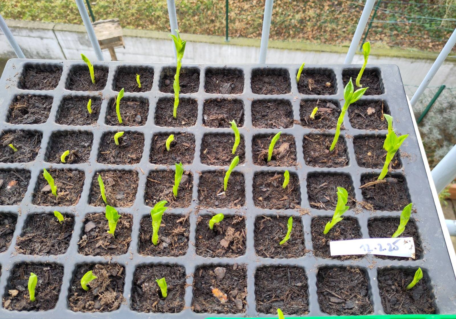 signal-2025-02-28-08-55-11-903