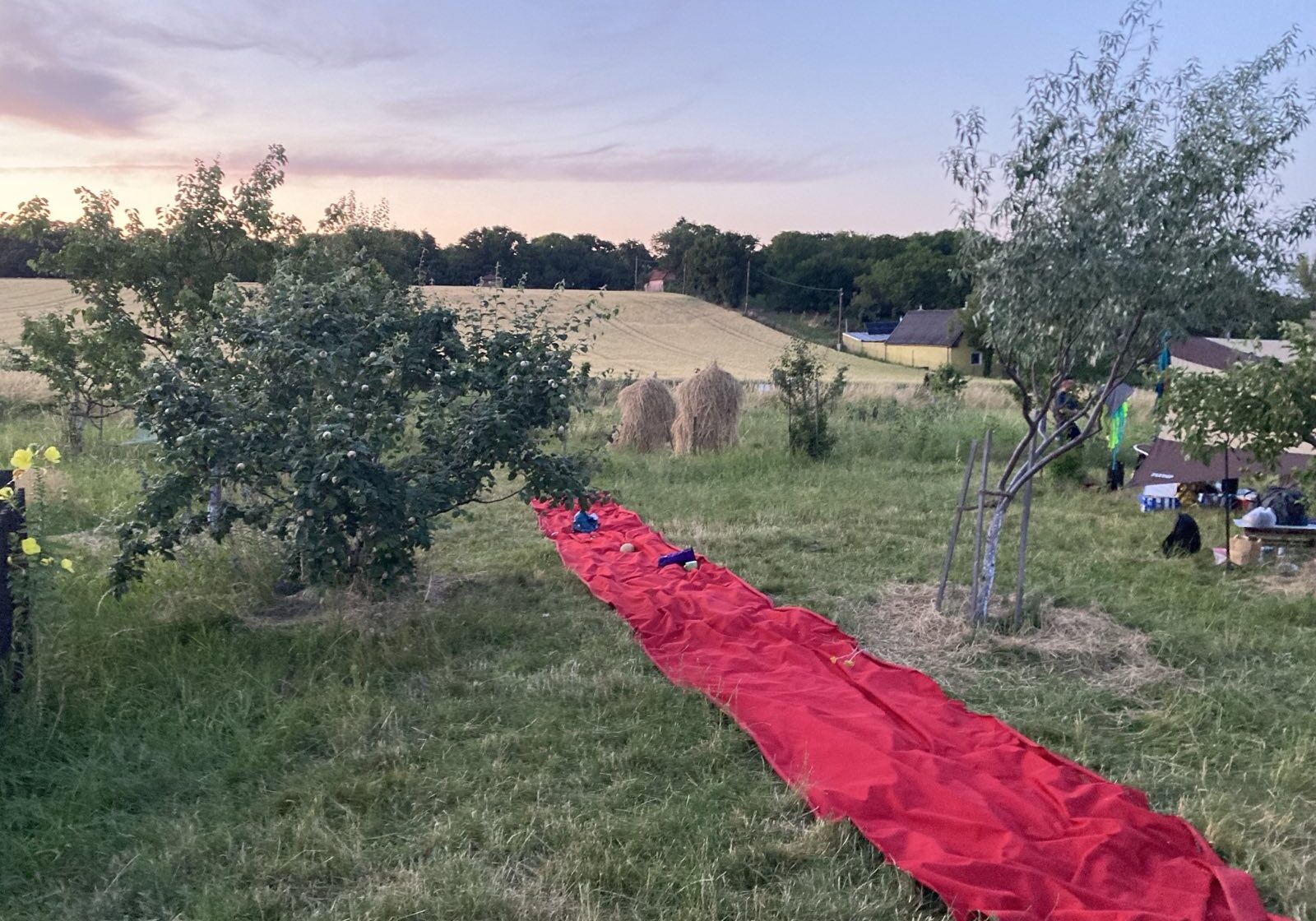 signal-2025-06-21-23-48-21-975